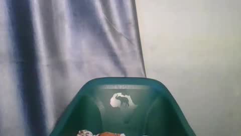 wetfatpussy_ online show from 02/12/26, 06:58