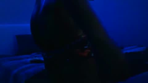 wetwildbigdick305 online show from 02/03/25, 10:36