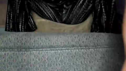 weweeworld online show from 02/19/26, 08:21