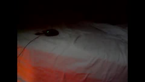 wgefwdtfvnlx online show from 02/25/26, 07:34