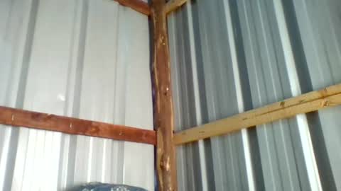 wharda online show from 06/23/26, 05:16