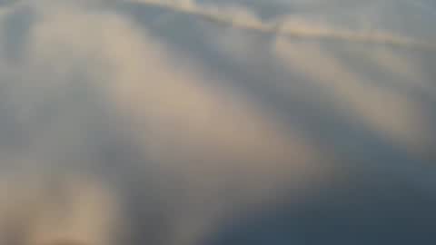 whatever_i_have_to_do online show from 03/13/26, 05:08