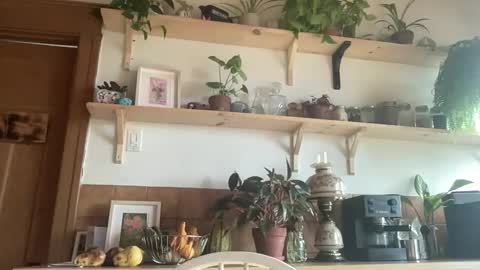 Snapshot of whiskylovexxx chatting on 11/04/25, 04:50 WhiskyLove online show from 11/04/25, 04:50