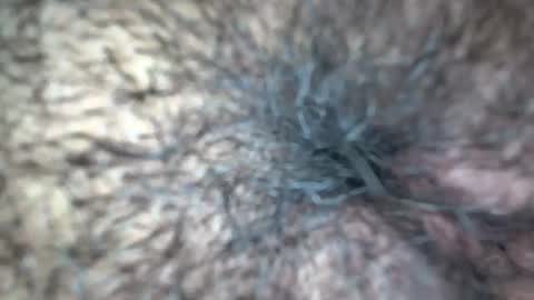 white_sexy_ online show from 09/21/25, 11:34