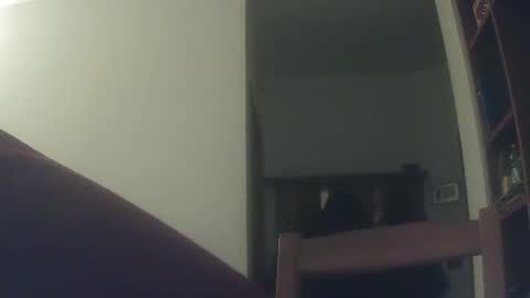 Snapshot of whiteduke81 chatting on 12/06/24, 06:17 Whiteduke online show from 12/06/24, 06:17