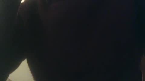 Snapshot of whiteduke81 chatting on 01/03/25, 12:33 Whiteduke online show from 01/03/25, 12:33