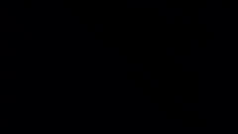 whitehead_lion online show from 02/21/25, 05:31