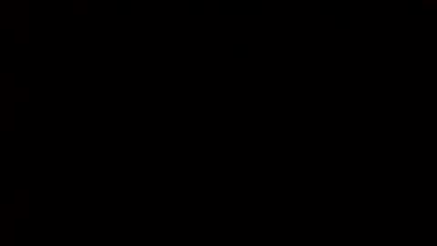 whitehead_lion online show from 03/01/25, 09:15