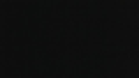 whitehead_lion online show from 11/06/25, 11:59