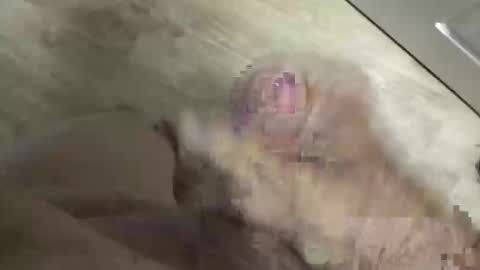 whitelava_4u online show from 05/30/26, 03:53