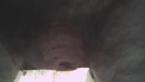 whitemann65 online show from 01/02/25, 01:08