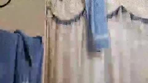 whodunnitwrangler online show from 11/20/25, 02:12