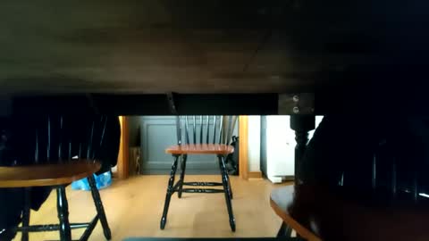 whoneedsaowner online show from 01/09/25, 02:18