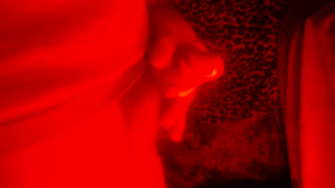 whor4mor online show from 12/27/24, 01:39