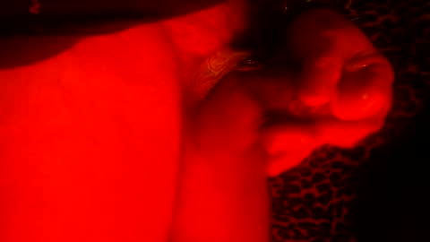 whor4mor online show from 01/09/25, 11:25