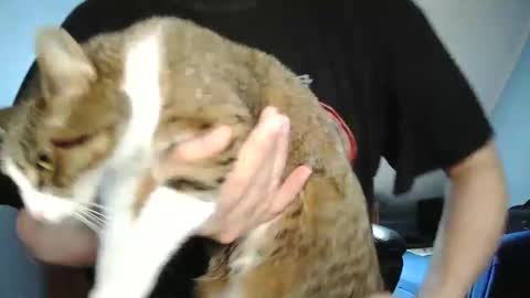 Snapshot of wickes71 chatting on 12/30/24, 10:21 Tommy online show from 12/30/24, 10:21