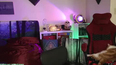 Gretchen  Jimmy online show from 07/21/26, 02:47