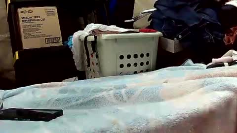 Ryder Harder online show from 10/20/25, 12:16