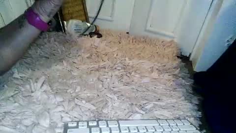 Wifeonly online show from 07/11/26, 10:51