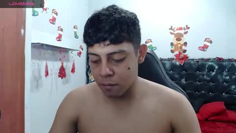 Snapshot of wiilliam_20 chatting on 01/29/25, 12:13 wiilliam online show from 01/29/25, 12:13