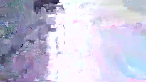 wild lemont online show from 11/01/25, 11:34