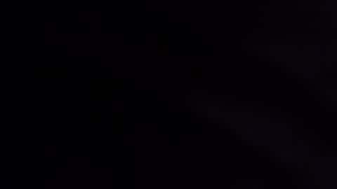 wildara online show from 12/02/25, 11:11