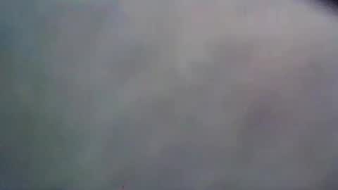 wildbrdick online show from 06/09/26, 11:00