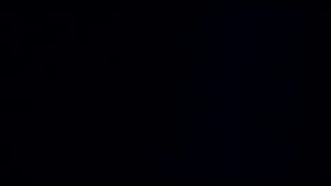 wildman3845 online show from 01/08/25, 12:05