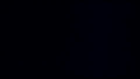 wildman3845 online show from 03/08/25, 12:41