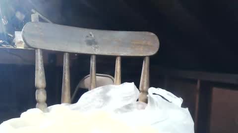 wildman6 online show from 02/08/25, 08:53