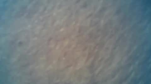 wildman6 online show from 02/15/25, 09:26