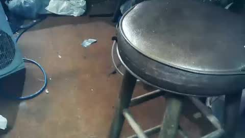 wildman6 online show from 10/11/25, 05:44