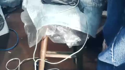 wildman6 online show from 10/19/25, 05:57