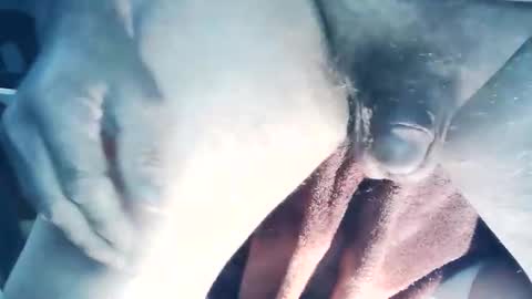 wildman6 online show from 03/22/26, 06:55