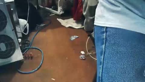 wildman6 online show from 04/24/26, 07:49