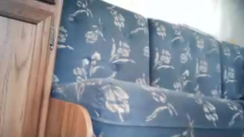 wildman6 online show from 06/20/26, 12:41