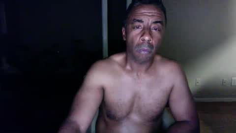 wildnight007 online show from 12/26/24, 08:07