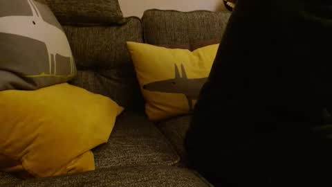 wildwills online show from 05/10/26, 10:37