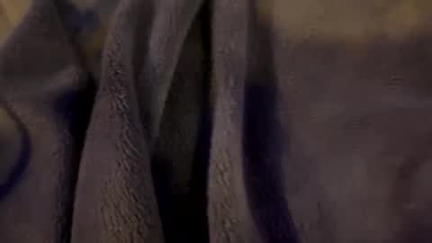 wiley0520 online show from 01/15/26, 09:03