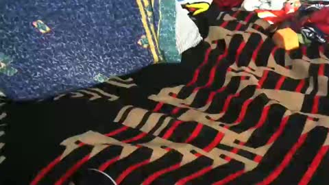 Willamyth online show from 02/19/25, 08:12