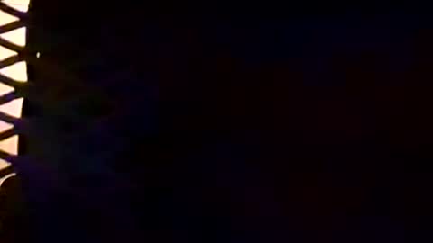 willhelm_the_pleaser online show from 07/19/26, 08:23