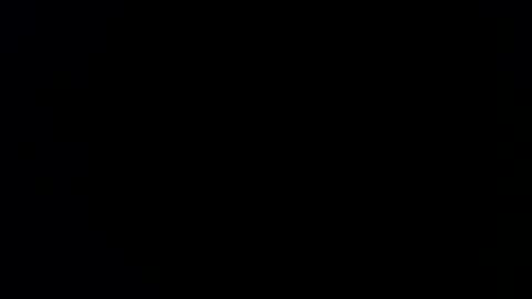 williewants online show from 02/13/26, 10:22