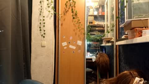 Snapshot of willodeanheitner chatting on 02/11/26, 08:47 Phoebe online show from 02/11/26, 08:47