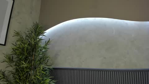 Ms Willow online show from 02/20/25, 04:25