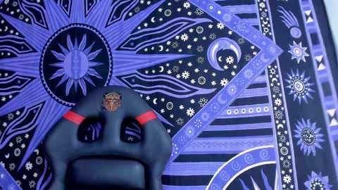 willy_veins online show from 12/13/24, 06:53