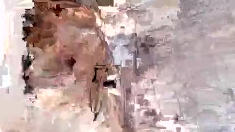 willytal2025 online show from 01/13/26, 07:19