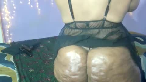 wilmaassylum online show from 09/12/25, 06:02