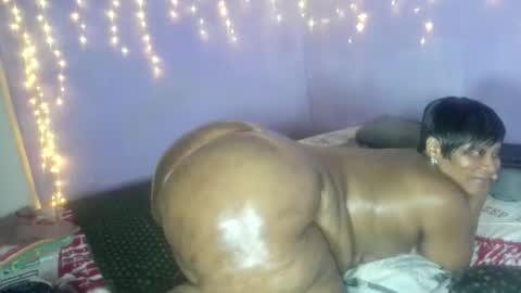 wilmaassylum online show from 10/12/25, 10:36