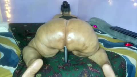 wilmaassylum online show from 12/19/25, 05:58