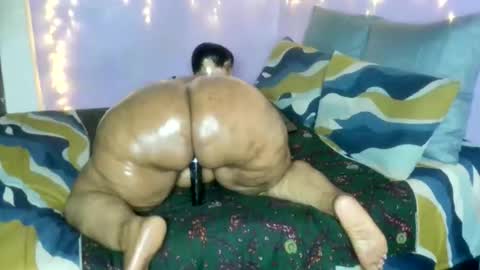 wilmaassylum online show from 01/17/26, 05:34